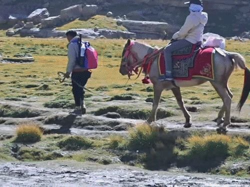 नेपाळ म्हणाला- भारतीय यात्रेकरूंनी लिपुलेखमार्गे मानसरोवरला जाऊ नये:हा आमचा प्रदेश; भारताच्या या भागावर नेपाळने यापूर्वीही केला आहे दावा