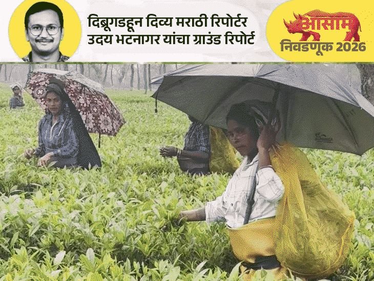 आसाममध्ये चहा मळ्यातील कामगार भाजपचा खेळ बिघडवतील का?:10 वर्षांत 154 रुपयांनी वाढली मजुरी, एसटी दर्जा नाही, 45 जागा धोक्यात