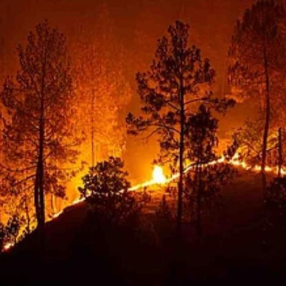 मेळघाटात वणव्याचे रौद्ररूप!:धारगड वनपरीक्षेत्रात भीषण आग, वनसंपदा जळून खाक; वन्यजीवांच्या सुरक्षेचा प्रश्न ऐरणीवर