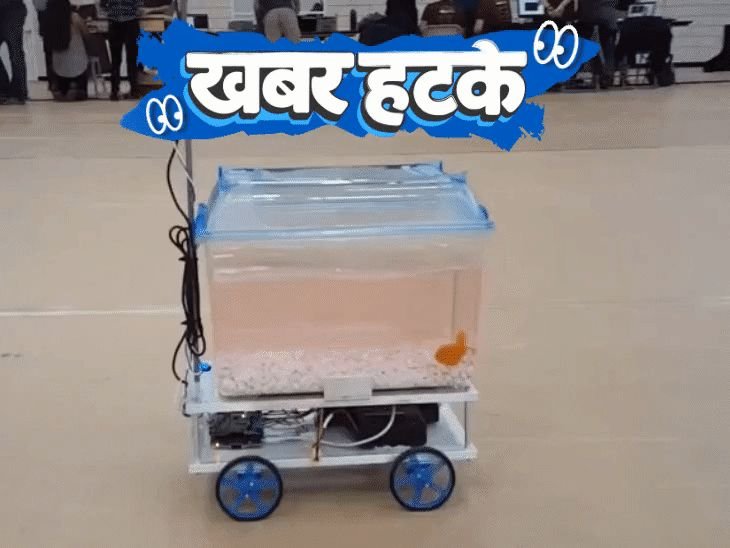 माशाने गाडी चालवून जागतिक विक्रम केला:₹15 लाख हुंड्यासाठी व्यक्ती बनला बनावट IAS अधिकारी; उंदरांना बर्फात गोठवून पुन्हा केले जिवंत