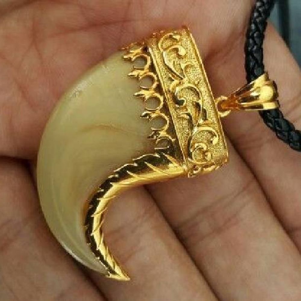 सोन्याच्या चेनमध्ये बिबट्याचे नख:हिमाचलमध्ये स्टेटस सिम्बॉल बनले, शिमलामध्ये ट्रेंड सुरू; ज्वेलर्स इतर राज्यांतून तस्करी करताहेत