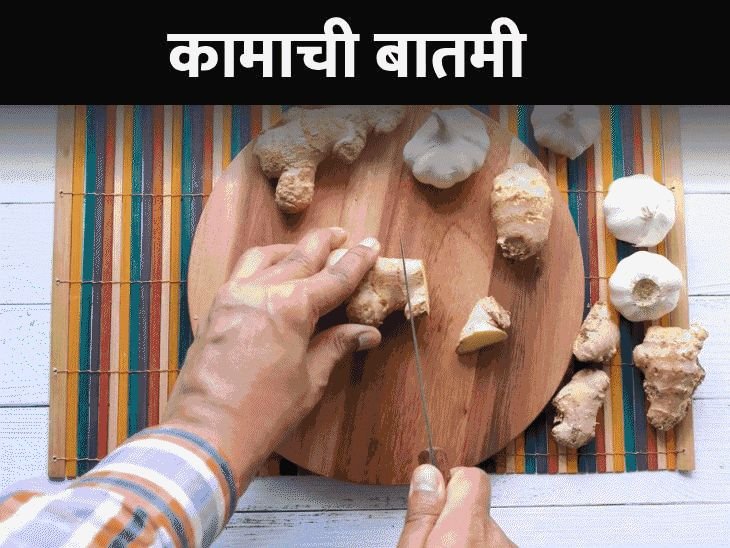 4000 किलो भेसळयुक्त आले-लसूण पेस्ट जप्त:5 सोप्या पद्धतीने शुद्ध आणि भेसळयुक्त ओळखा, बनवण्याची सोपी पद्धत जाणून घ्या