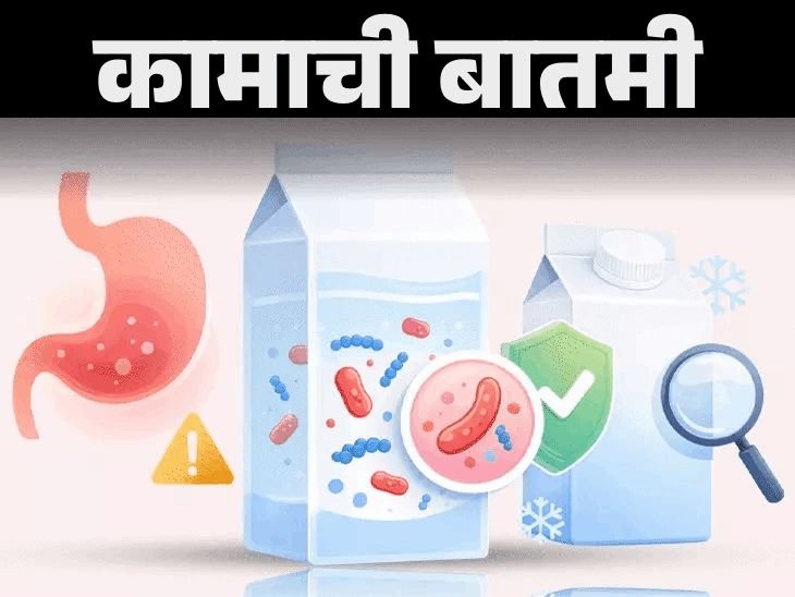 पॅकेज्ड दुधात कोलिफॉर्म बॅक्टेरिया:जाणून घ्या याचा आरोग्याला काय धोका, दूध सुरक्षित कसे ठेवावे, खरेदी करताना कोणती खबरदारी घ्यावी