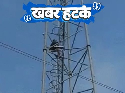 तिसऱ्या पत्नीच्या मनधरणीसाठी टॉवरवर चढला युवक:गार्ड रील बघत राहिले, तुरुंगातून बलात्कारी पळाला; मांजरीला अमर बनवण्यासाठी शास्त्रज्ञाचे अपहरण