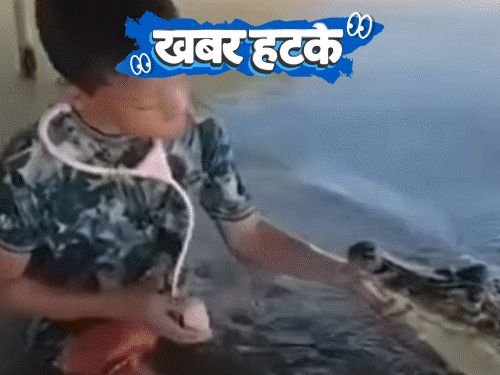 मुलगा मगरीसोबत डॉक्टर-डॉक्टर खेळला:विषारी मुंग्या चावून पुरुषत्व सिद्ध होते; रेस्टॉरंटमध्ये दिले जाते कमोडमध्ये जेवण