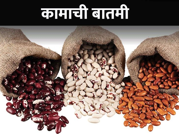 बीन्स खाल्ल्याने आयुष्य वाढते:सॉल्यूबल फायबर कोलेस्ट्रॉल कमी करते, हृदयाला निरोगी ठेवते, जाणून घ्या कोणी खाऊ नये
