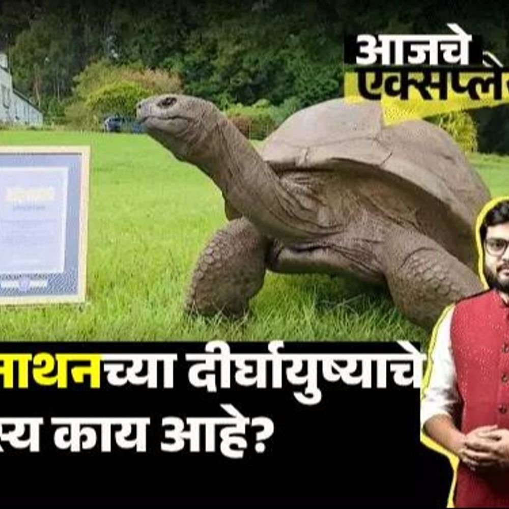 आजचे एक्सप्लेनर:194 वर्षांच्या 'जोनाथन'ची कहाणी, PM मोदींच्या भेटीमुळे चर्चेत; 39 अमेरिकन राष्ट्राध्यक्ष पाहिलेत, 140 वर्षांनी लहान गर्लफ्रेंड
