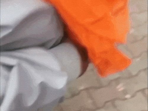 चंदीगडमध्ये पंजाब भाजप मुख्यालयाबाहेर स्फोट:व्हायरल व्हिडिओमध्ये व्यक्ती ग्रेनेड फेकताना दिसला; खालिस्तानी संघटनेने जबाबदारी स्वीकारली