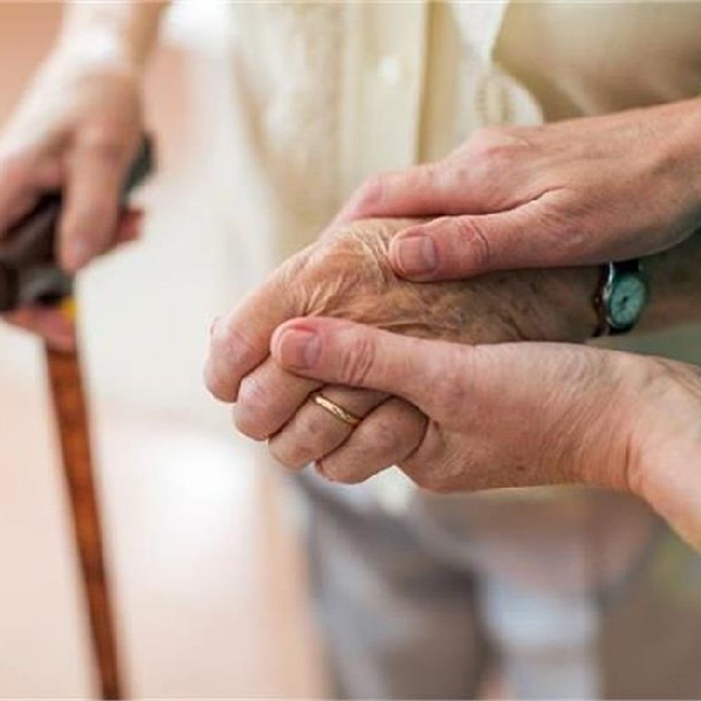 देशातील मोठ्या शहरांत आंतरपिढीगत सह-निवास संस्कृती:ज्येष्ठांचा विद्यार्थ्यांसोबत राहण्याचा नवीन ट्रेंड; एकटेपणा दूर होईल आणि सुरक्षितता देईल