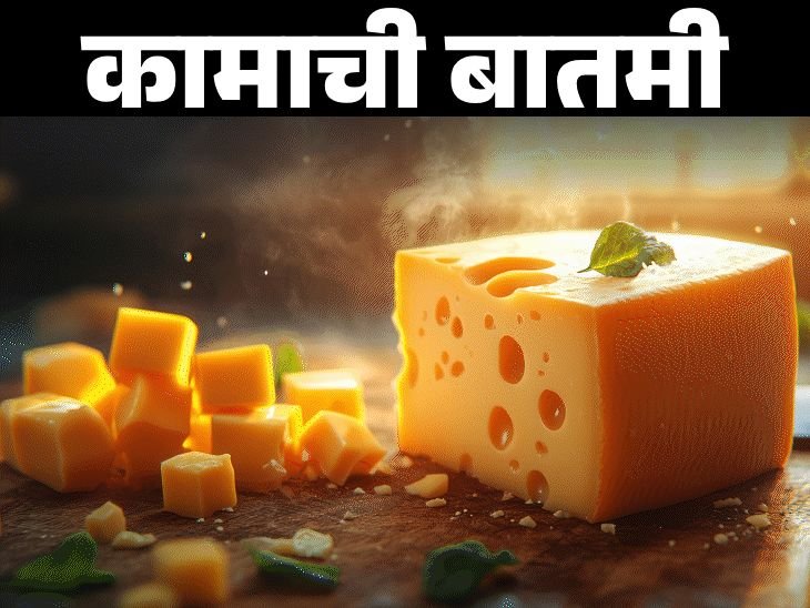 चीज आरोग्यासाठी फायदेशीर आहे का?:आहारतज्ञांकडून जाणून घ्या याचे पौष्टिक मूल्य, आरोग्य फायदे, कोणी खाऊ नये