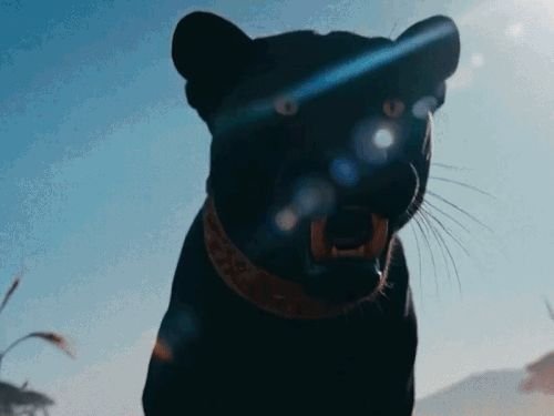 सिद्धू मूसेवालाचा होलोग्राम टूर रिलीज, पाकिस्तानातही शो:गायकाचे डोळे उघडताच स्टेडियममध्ये गर्दी; 24 तासांत 2 कोटी चाहत्यांनी पाहिले