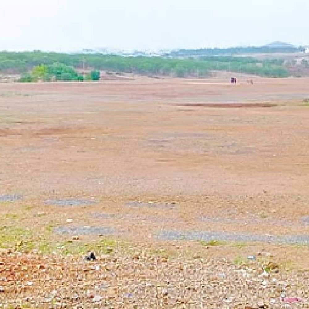 दिव्य मराठी इन्व्हेस्टिगेशन‎:बंदी असतानाही गायरान जमिनीवर प्लॉट्स पाडून पिंप्री मोंढाळेत विक्री, पारोळा तालुक्यात कुंपणानेच शेत खाल्ले