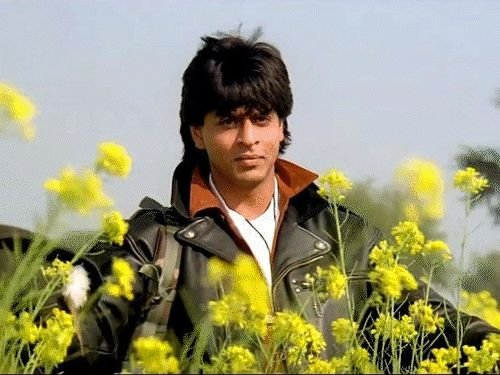 शाहरुख खान पुन्हा करणार रोमान्स, विंटेज लूकमध्ये नवीन चित्रपट:किंगनंतर रोमँटिक अंदाजात पुनरागमन, क्लासिक कथेला आधुनिक स्पर्श देऊन सादर करणार