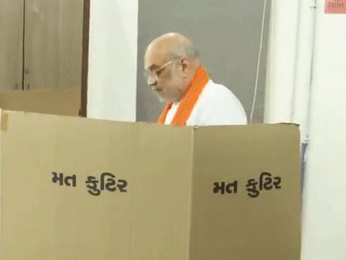 गुजरात स्थानिक स्वराज्य संस्था निवडणुकीत 57.8% मतदान:मतदानादरम्यान हृदयविकाराच्या झटक्याने जामनगर महानगरपालिकेत आपच्या उमेदवारासह 3 जणांचा मृत्यू