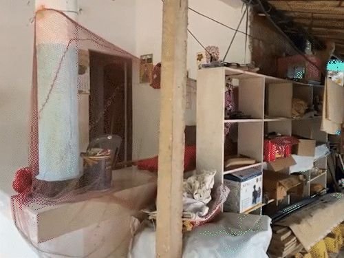 केरळम, कर्नाटक, तामिळनाडूमध्ये 19 ठिकाणी NIA ची छापेमारी:मलप्पुरममधील बेकायदेशीर स्फोटके जप्त प्रकरणी कारवाई, पुरवठा नेटवर्क आणि कनेक्शन तपासले