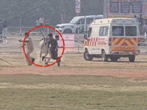बेगुसरायमध्ये CM नितीश कुमार यांच्या सुरक्षेत त्रुटी:हेलीपॅडमध्ये शिरला बैल, पोलिसांना पळवले; बचावासाठी अग्निशमन दलाच्या गाडीवर चढले