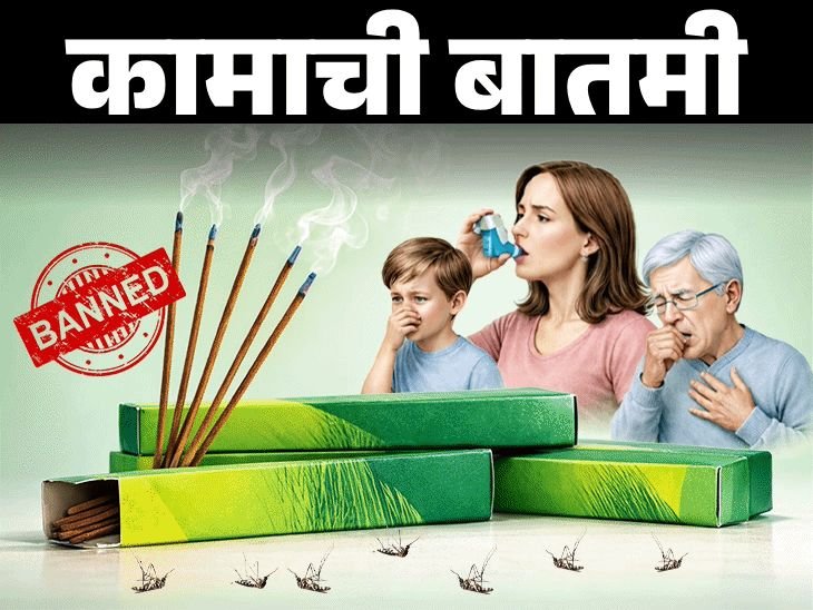 'मच्छर अगरबत्त्यां'मध्ये धोकादायक रसायने:खरेदी करण्यापूर्वी या 7 गोष्टी तपासा, नैसर्गिक उपायांनी डास पळवण्यासाठी 11 टिप्स