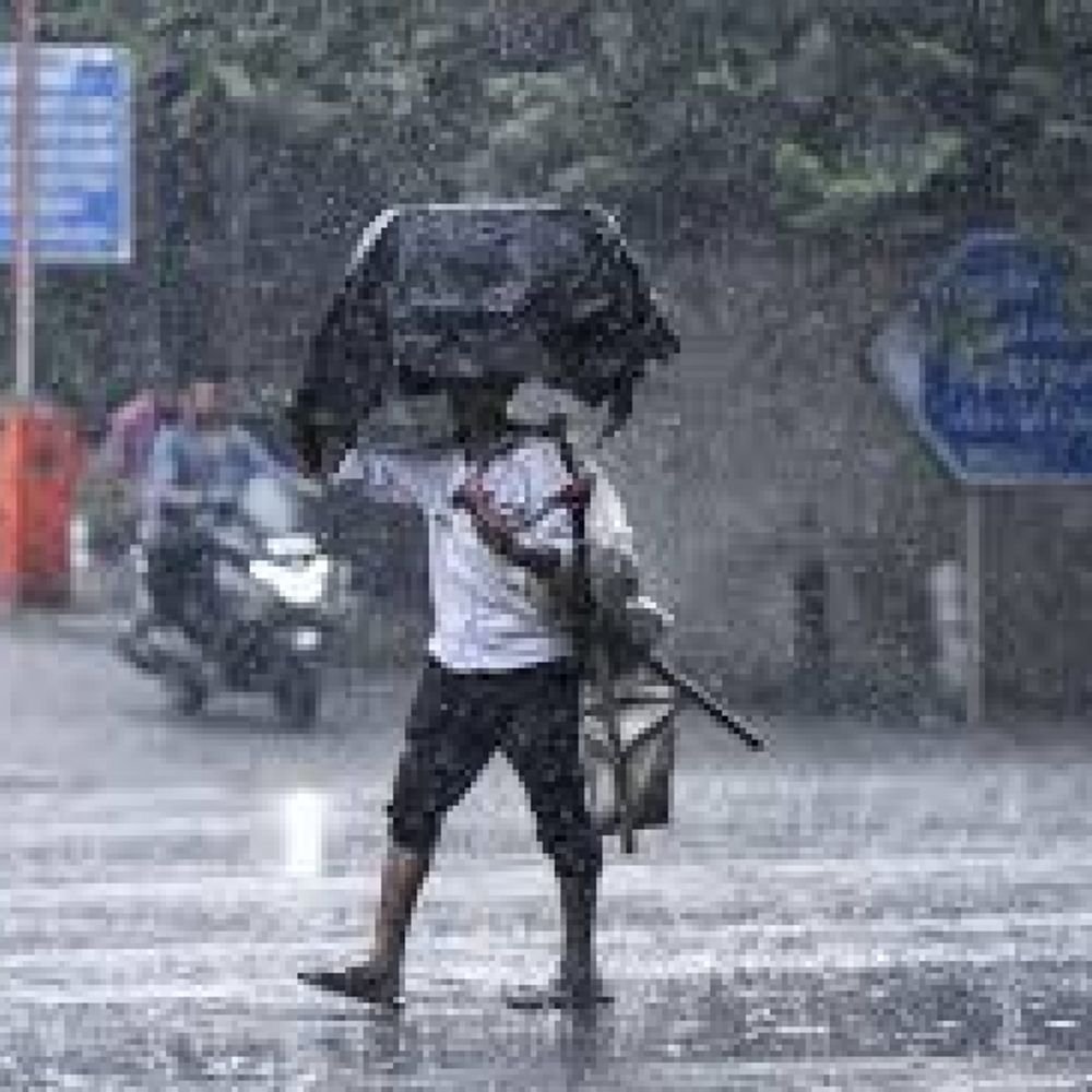 दिलासा:संभाजीनगरला आज-उद्या सलग 2 दिवस पावसाचा यलो अलर्ट, 16 दिवसांनी राज्यात मान्सून परतला, पेरण्या मार्गी लागू शकतात