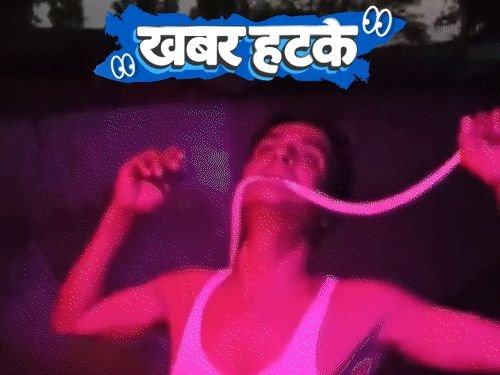 रीलसाठी तोंडात ठेवला मेलेला साप:सोशल मीडिया लाइव्हमुळे हरवलेला कुत्रा सापडला; कोंबड्यांच्या बांग देण्याने परदेशी व्यक्ती त्रस्त