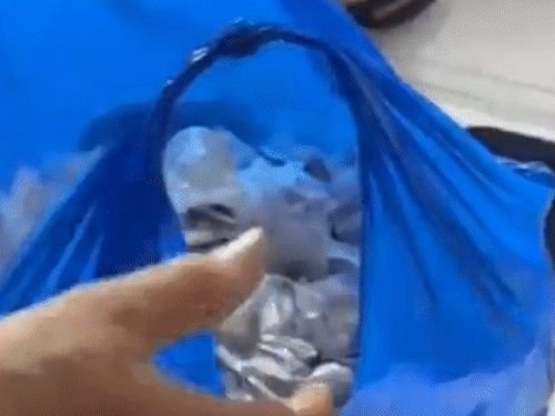 मुंबईतील मोहर्रमच्या जुलूसमध्ये विषारी कॅप्सूलचे वाटप:पुण्याच्या तरुणाला अटक, 14 हजार 900 गोळ्या जप्त; मोठा घातपात टळला
