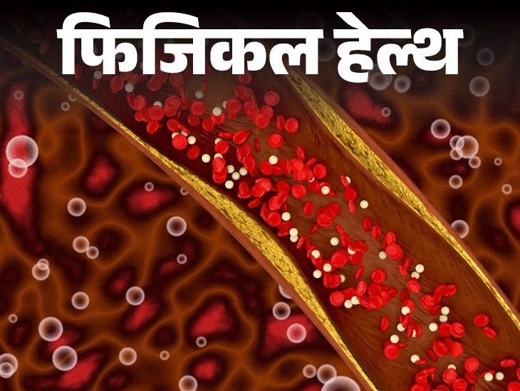 कोलेस्ट्रॉलवर 8 वर्षांनंतर आली नवीन गाइडलाइन:LDL 100 च्या खाली ठेवा, वयाच्या 20 वर्षांपासून चाचणी करा; महत्त्वाच्या गोष्टी जाणून घ्या