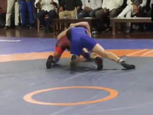 विनेश फोगाट आशियाई क्रीडा चाचणीत पराभूत:म्हणाली- संपूर्ण व्यवस्थेशी लढले, पुनरागमन करेन; बंदीनंतर सुप्रीम कोर्टाने चाचणीला मंजुरी दिली होती
