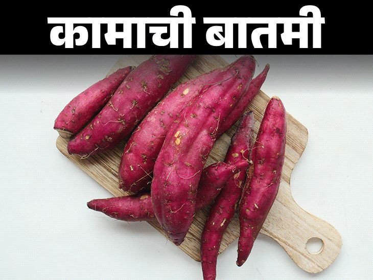 रताळ्यामध्ये रोडामीन-बी ची भेसळ:FSSAI ने सांगितले शुद्धता कशी तपासावी, चमकदार नाही, माती असलेलेच खरेदी करा